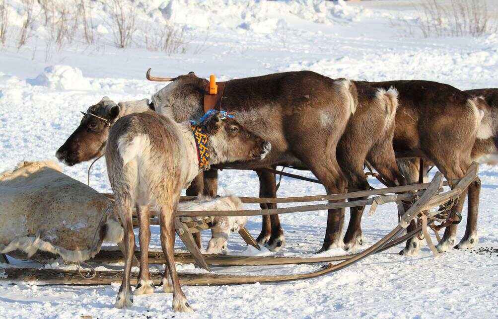 PG中国官网-乌拉圭鏖战勒沃库森，加维打破历史纪录