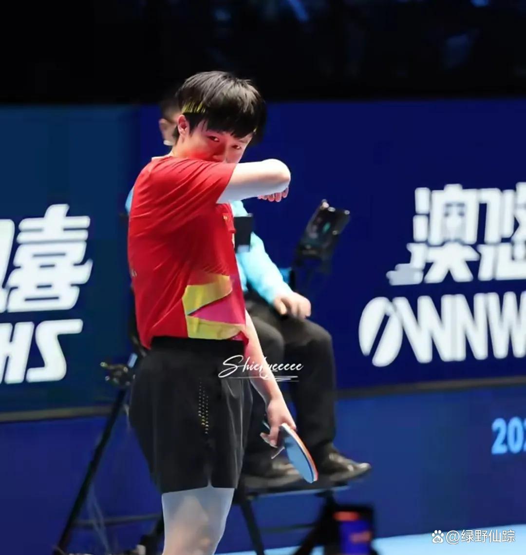 PG平台-韩国乒乓球队轻取奥地利乒乓球队，王皓高光表现的简单介绍