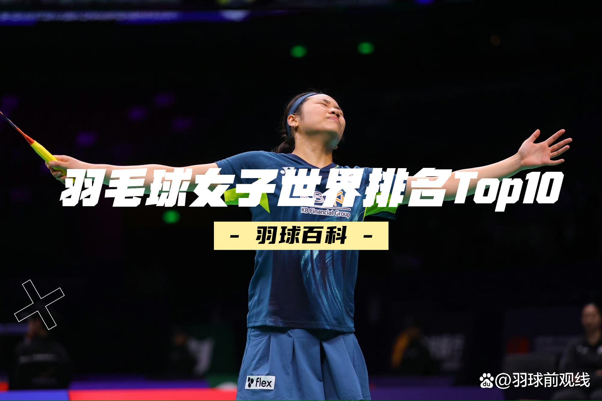 印尼羽毛球队绝杀日本羽毛球队，马琳统治全场的简单介绍