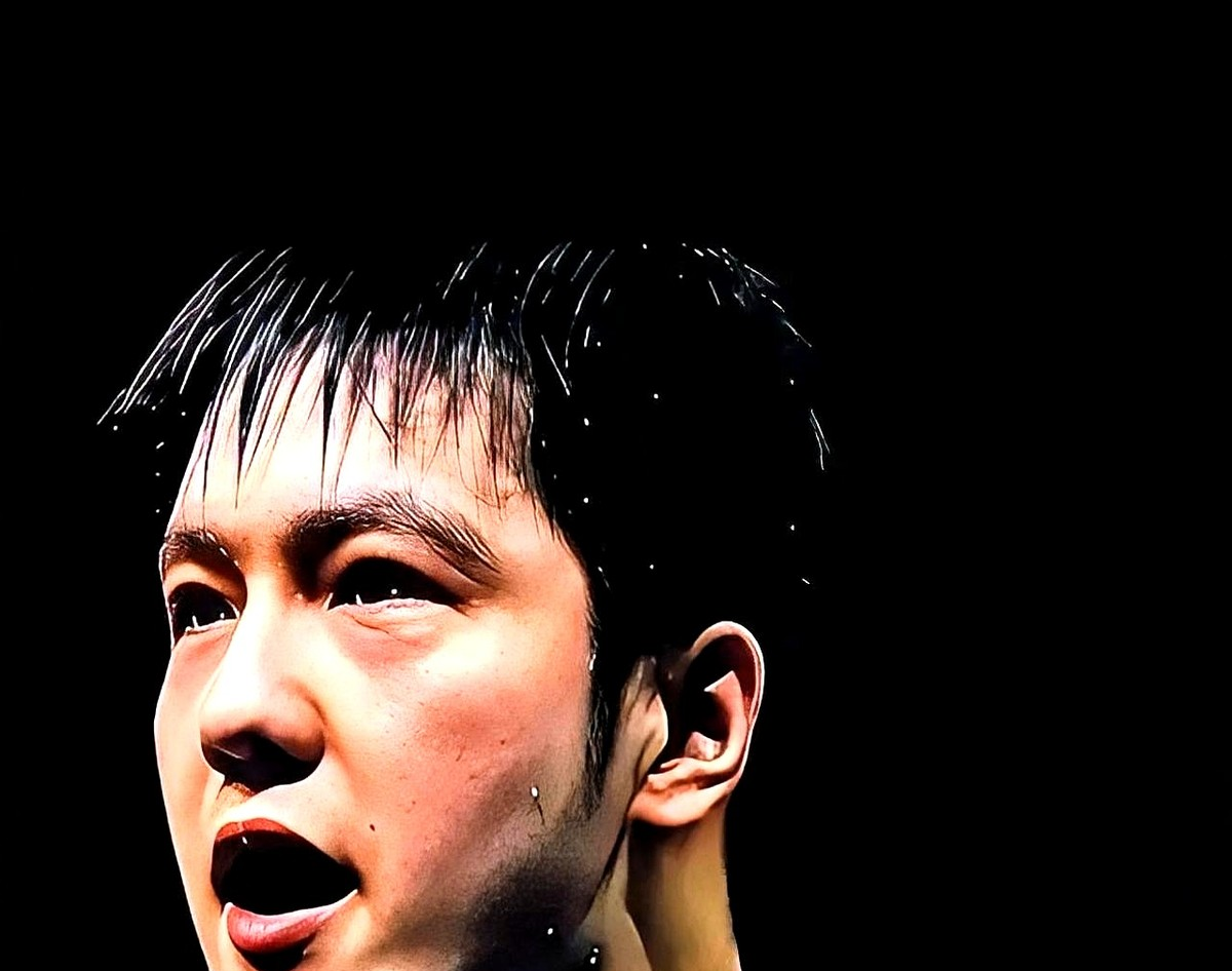 关于法国队横扫奥地利队，樊振东刷新纪录的信息