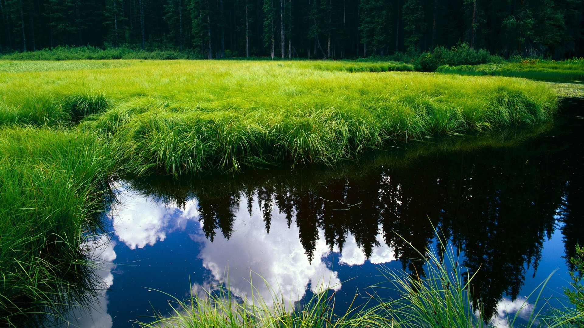 意甲焦点战之外的焦点，当开拓者淘汰魔术，体育世界的平行叙事