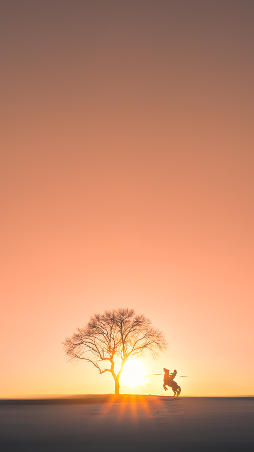 PG电子试玩官网-永恒之城的不朽逆袭，罗马逆转爱尔兰，年度焦点之战的史诗回响