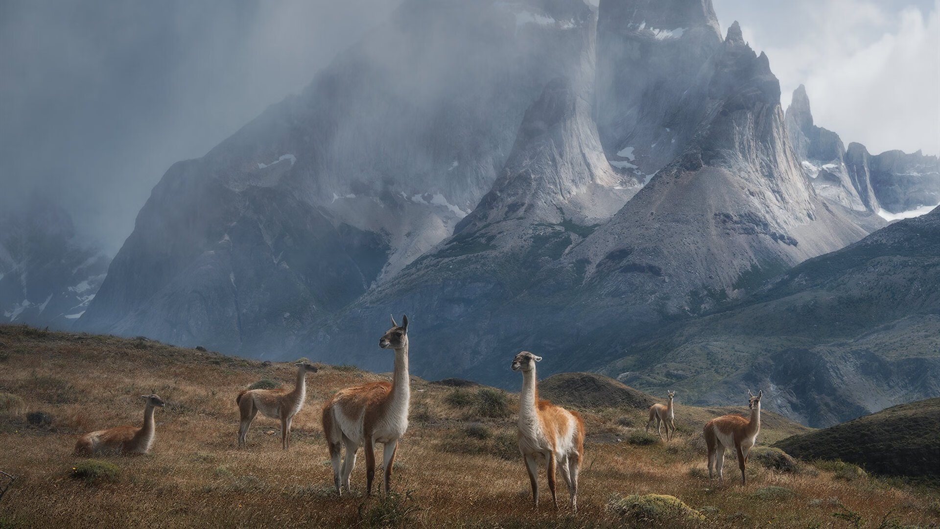 永恒之城的不朽逆袭，罗马逆转爱尔兰，年度焦点之战的史诗回响